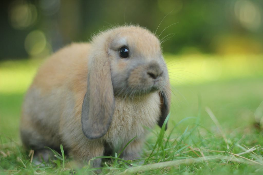 0fffb5019e332e32c3db3d3930b69292