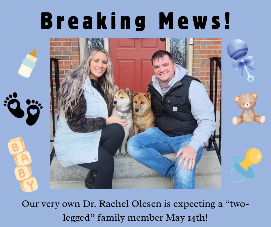 Olesen’s Pack is Growing